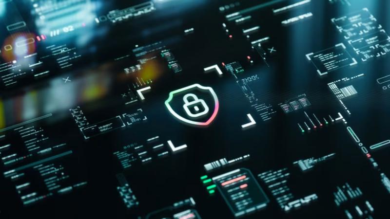 瑞昌市软件开发公司